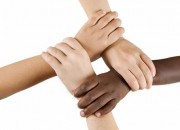 diversity series