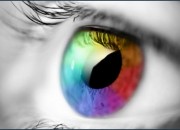 Visual.1951334452